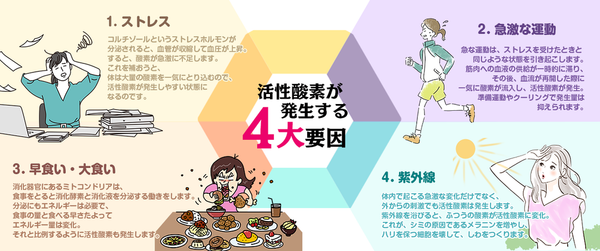 【送料無料】ケイ素水素水「慧(KEI)」 500ml×24本